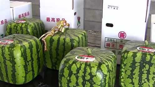 港澳新闻 第14页